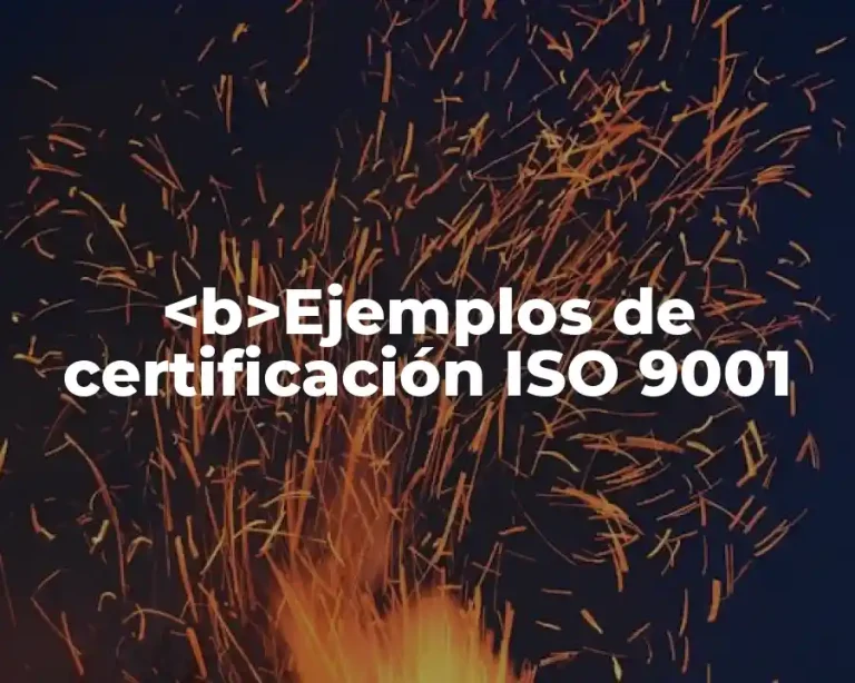 <b>Ejemplos de certificación ISO 9001