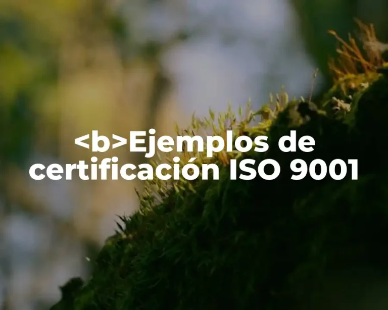 <b>Ejemplos de certificación ISO 9001