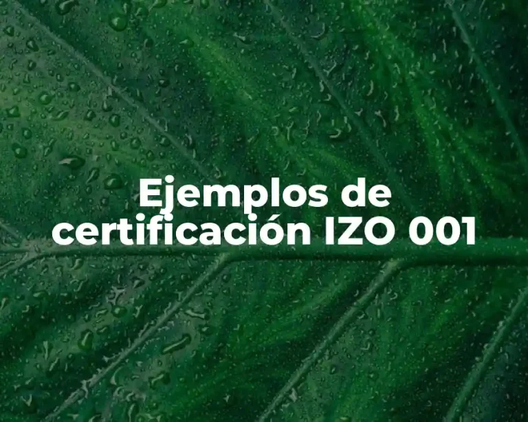 Ejemplos de certificación IZO 001