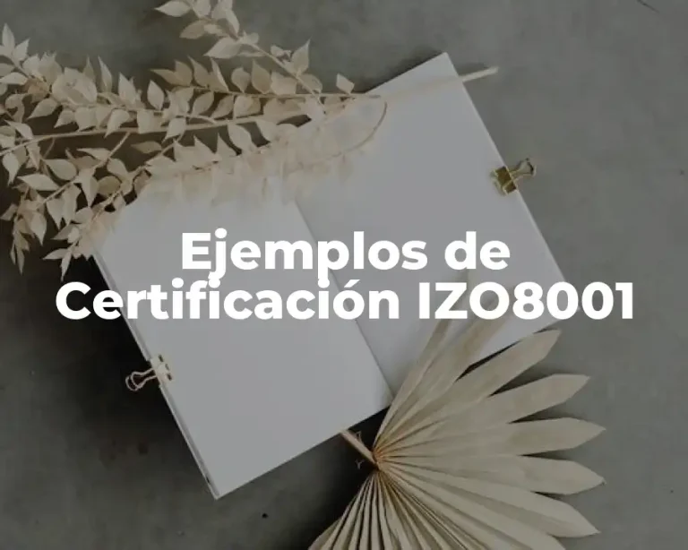 Ejemplos de Certificación IZO8001