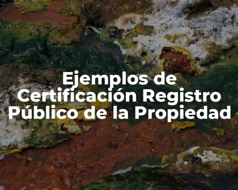 Ejemplos de Certificación Registro Público de la Propiedad