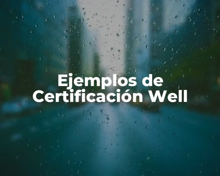 Ejemplos de Certificación Well