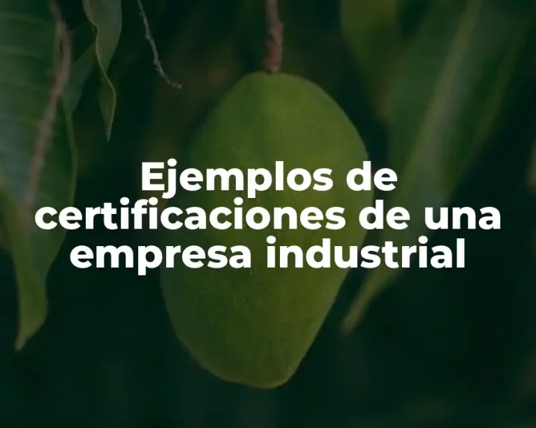 Ejemplos de certificaciones de una empresa industrial
