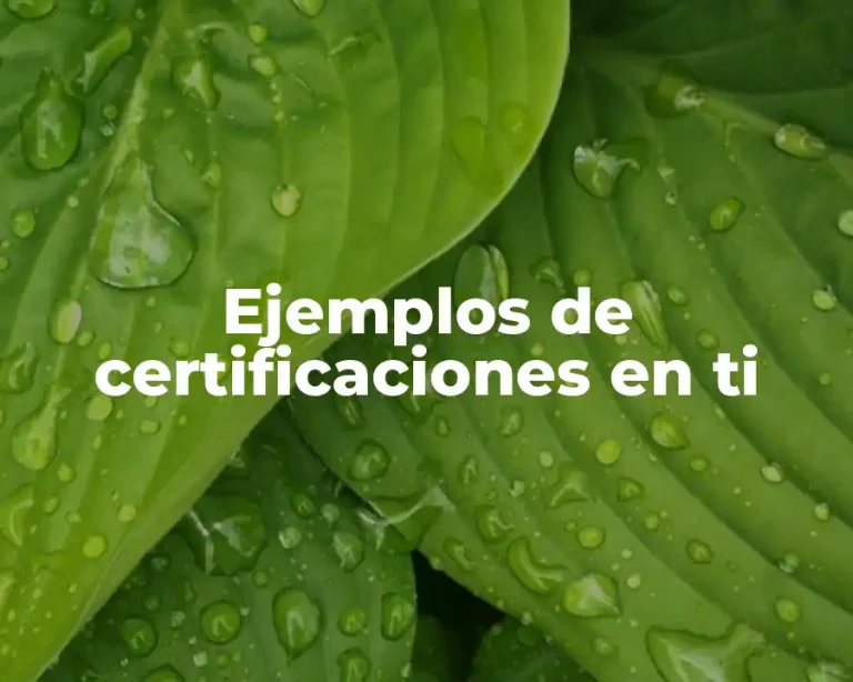 Ejemplos de certificaciones en ti