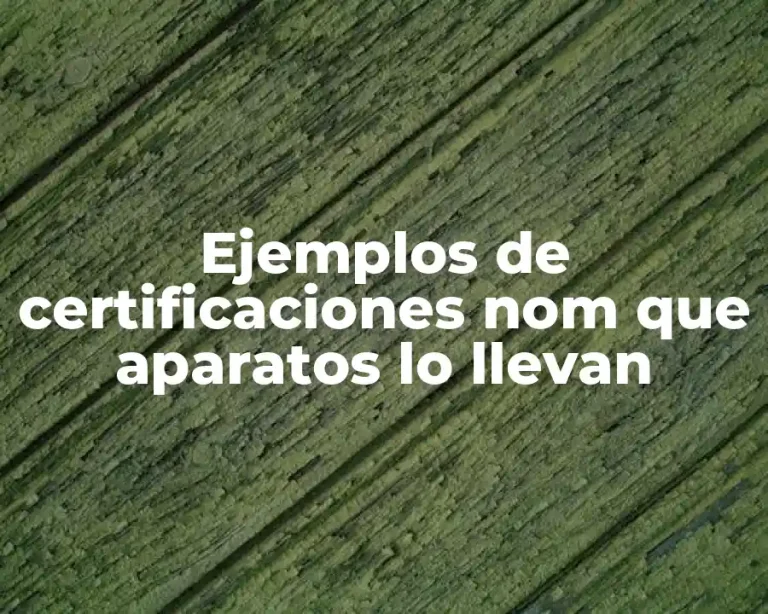 Ejemplos de certificaciones nom que aparatos lo llevan