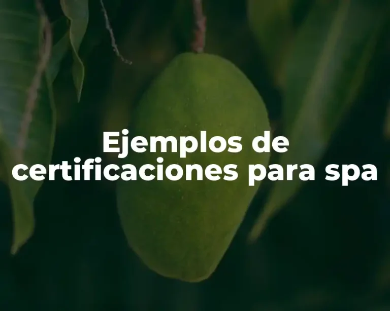 Ejemplos de certificaciones para spa
