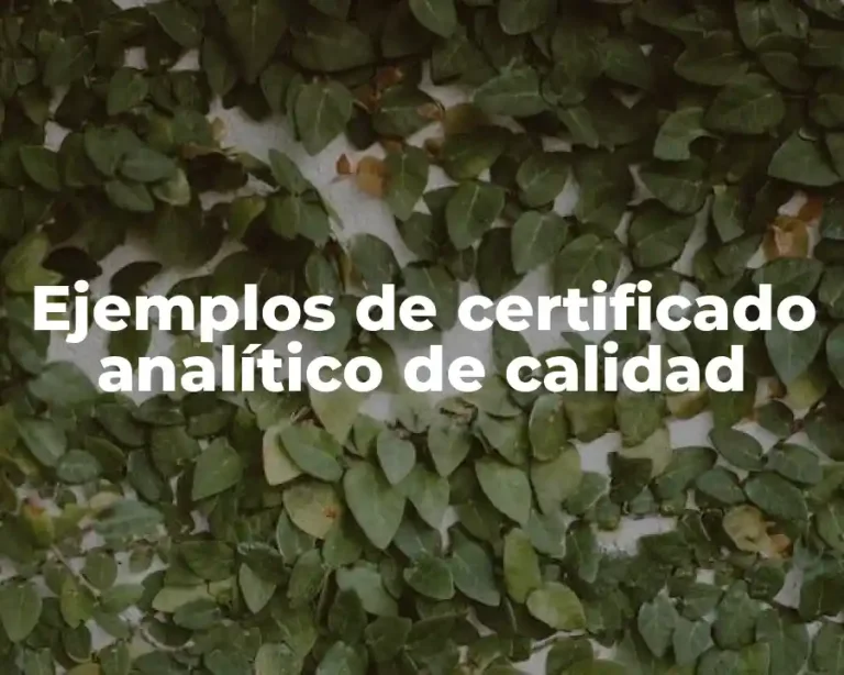 Ejemplos de certificado analítico de calidad