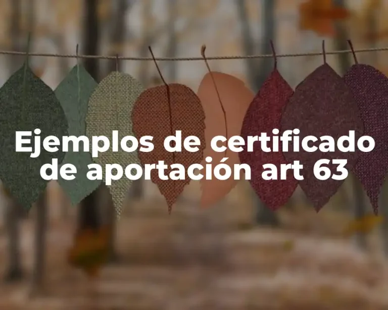 Ejemplos de certificado de aportación art 63