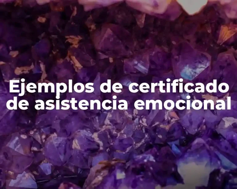 Ejemplos de certificado de asistencia emocional