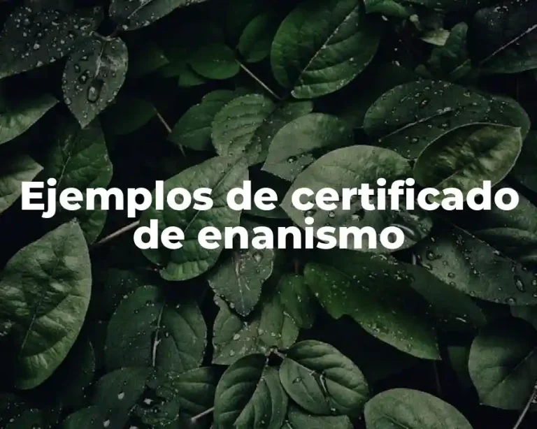 Ejemplos de certificado de enanismo