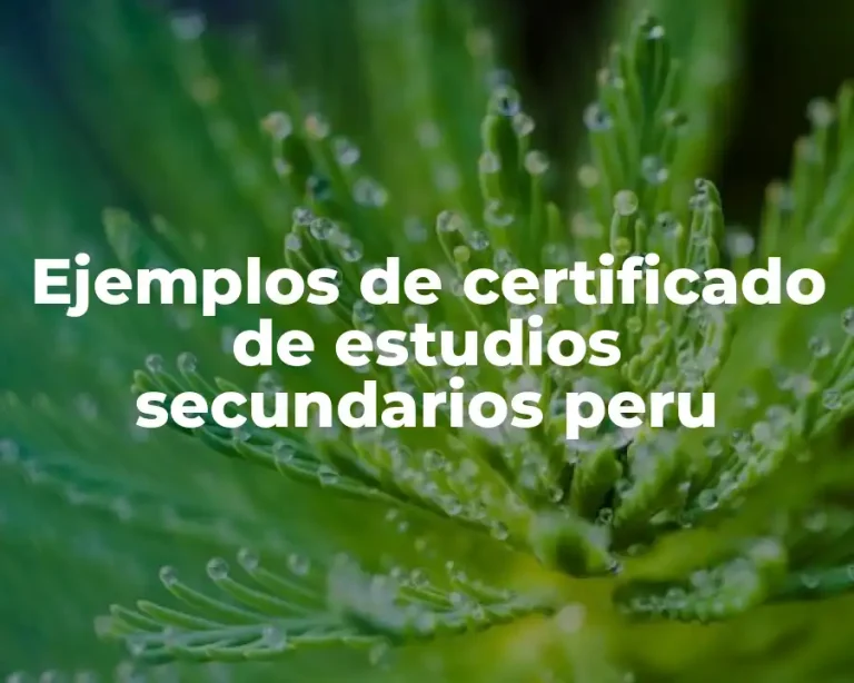 Ejemplos de certificado de estudios secundarios peru