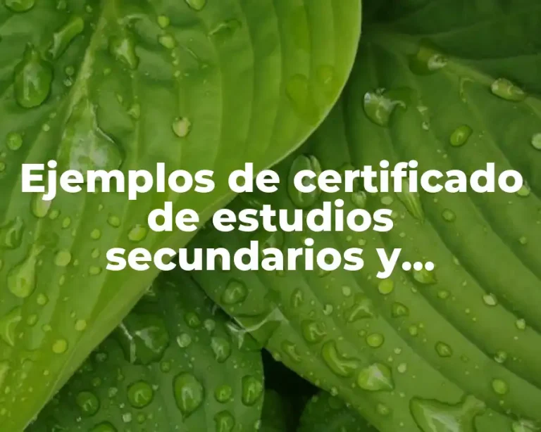Ejemplos de certificado de estudios secundarios y Significado