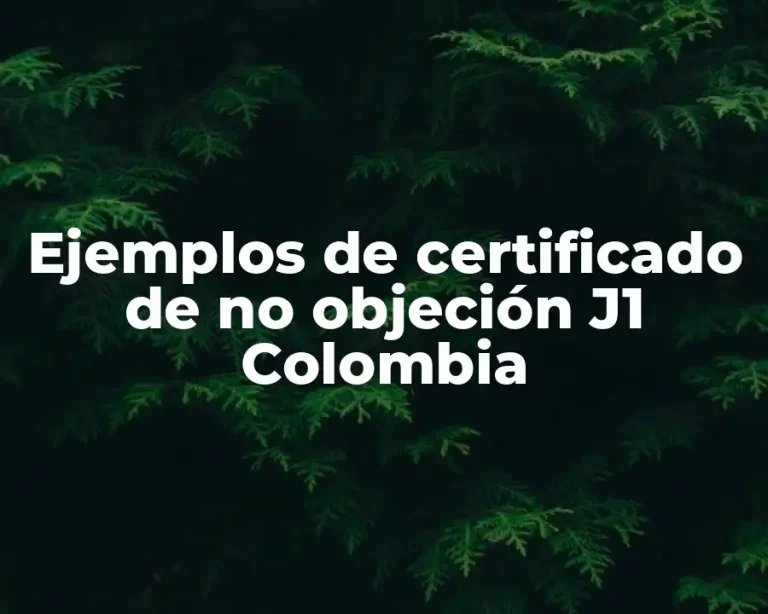 Ejemplos de certificado de no objeción J1 Colombia