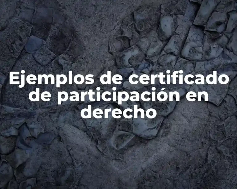 Ejemplos de certificado de participación en derecho