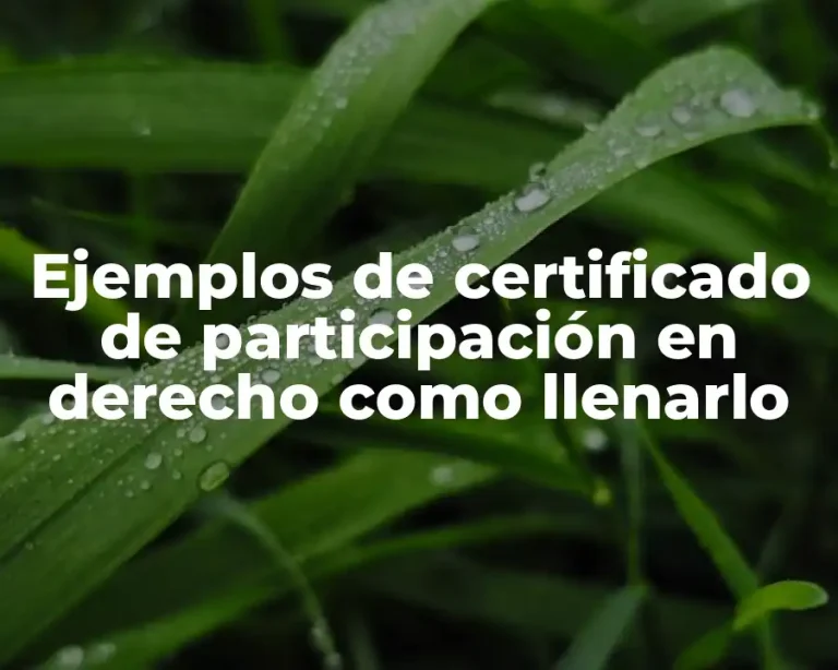 Ejemplos de certificado de participación en derecho como llenarlo