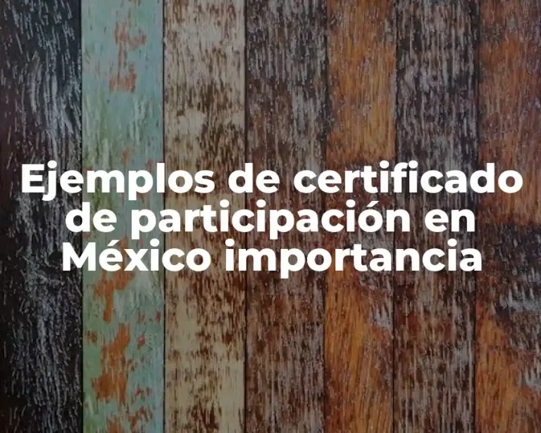 Ejemplos de certificado de participación en México importancia