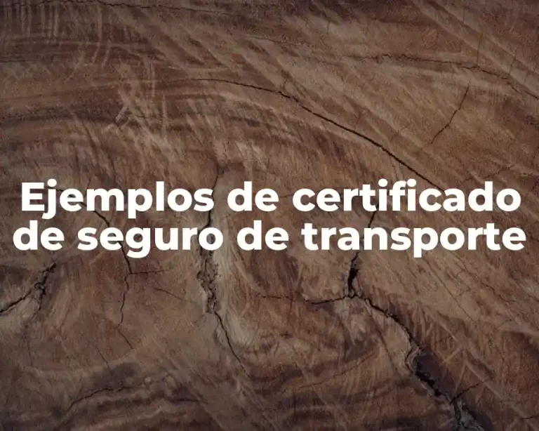 Ejemplos de certificado de seguro de transporte