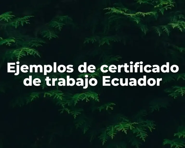 Ejemplos de certificado de trabajo Ecuador