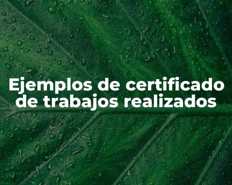 Ejemplos de certificado de trabajos realizados