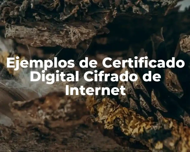Ejemplos de Certificado Digital Cifrado de Internet