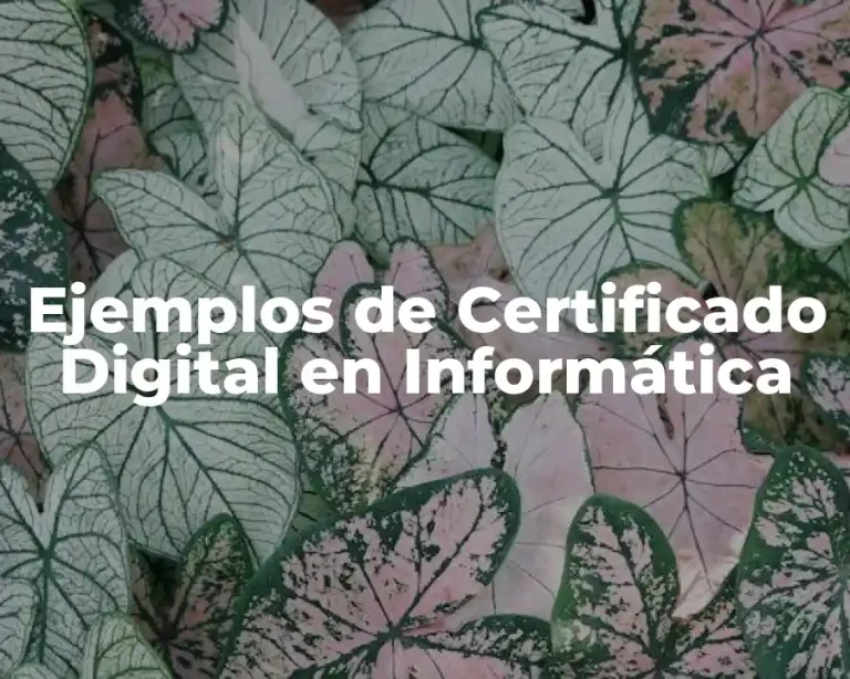 Ejemplos de Certificado Digital en Informática