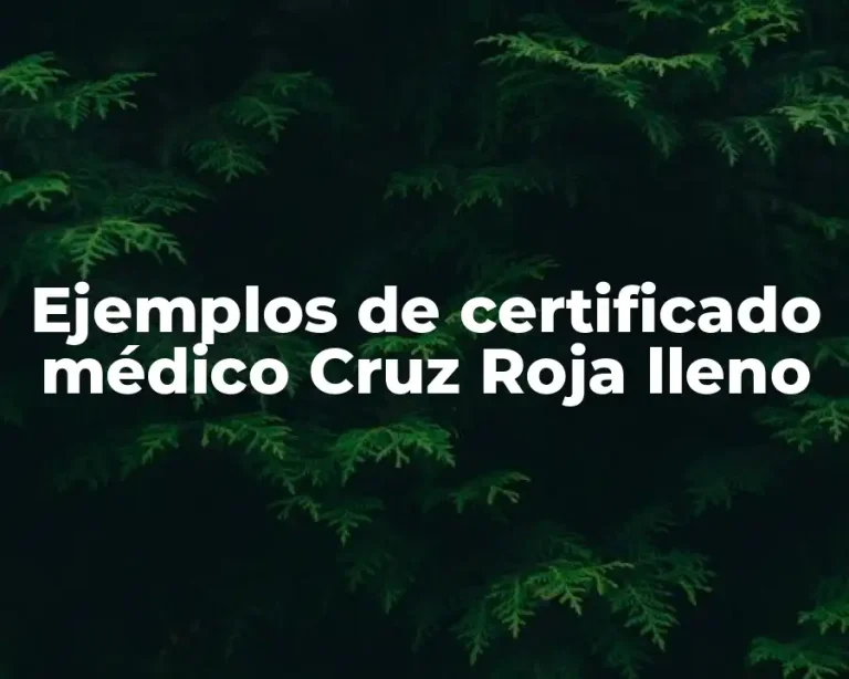 Ejemplos de certificado médico Cruz Roja lleno