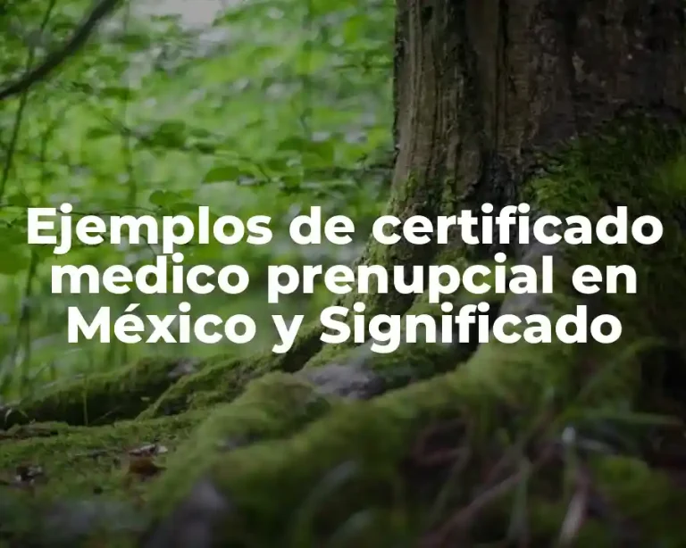 Ejemplos de certificado medico prenupcial en México y Significado