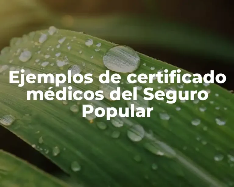Ejemplos de certificado médicos del Seguro Popular