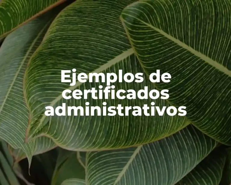 Ejemplos de certificados administrativos