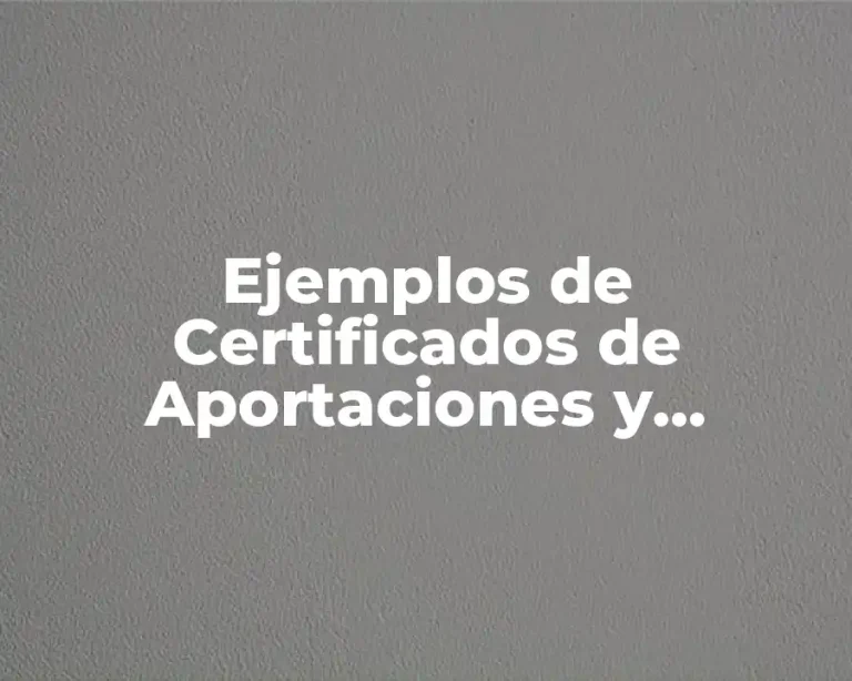 Ejemplos de Certificados de Aportaciones y Significado