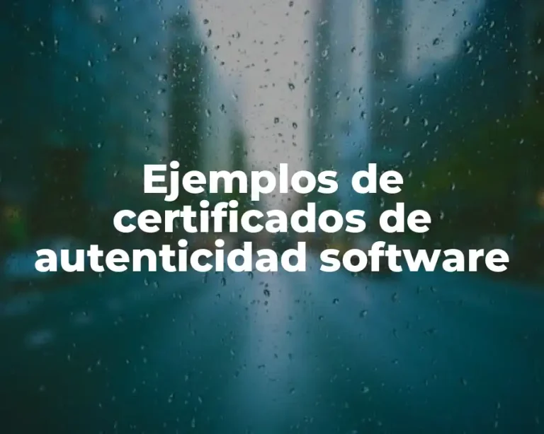 Ejemplos de certificados de autenticidad software