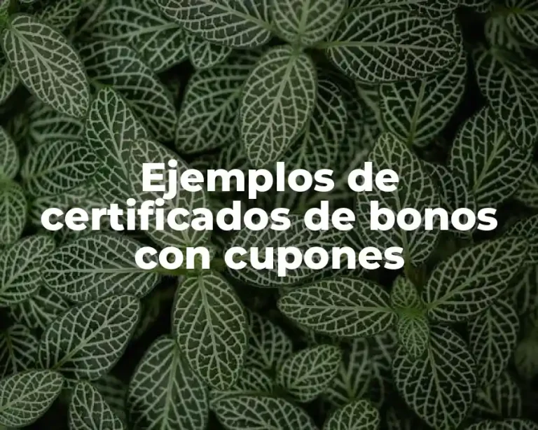 Ejemplos de certificados de bonos con cupones