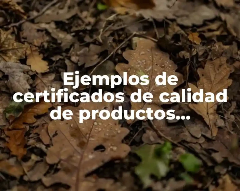 Ejemplos de certificados de calidad de productos alimenticios