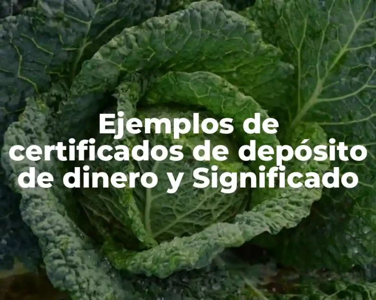 Ejemplos de certificados de depósito de dinero y Significado
