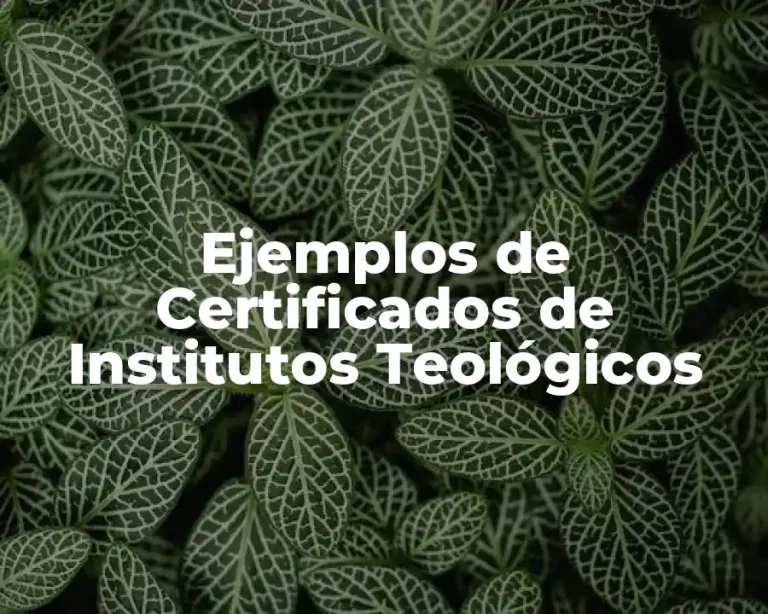 Ejemplos de Certificados de Institutos Teológicos