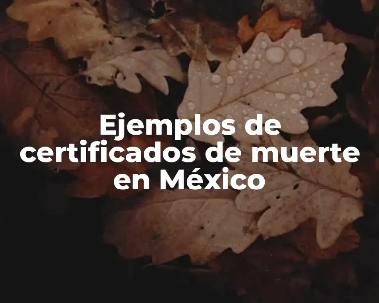Ejemplos de certificados de muerte en México