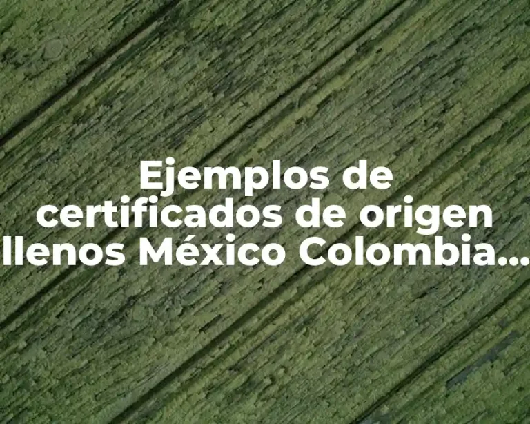 Ejemplos de certificados de origen llenos México Colombia y Significado