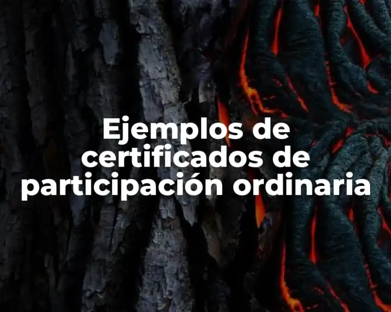 Ejemplos de certificados de participación ordinaria