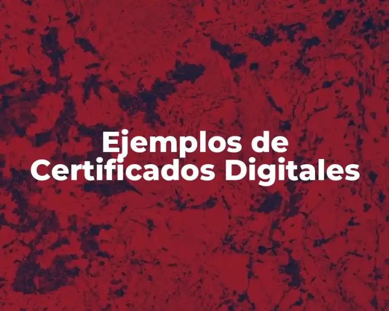 Ejemplos de Certificados Digitales