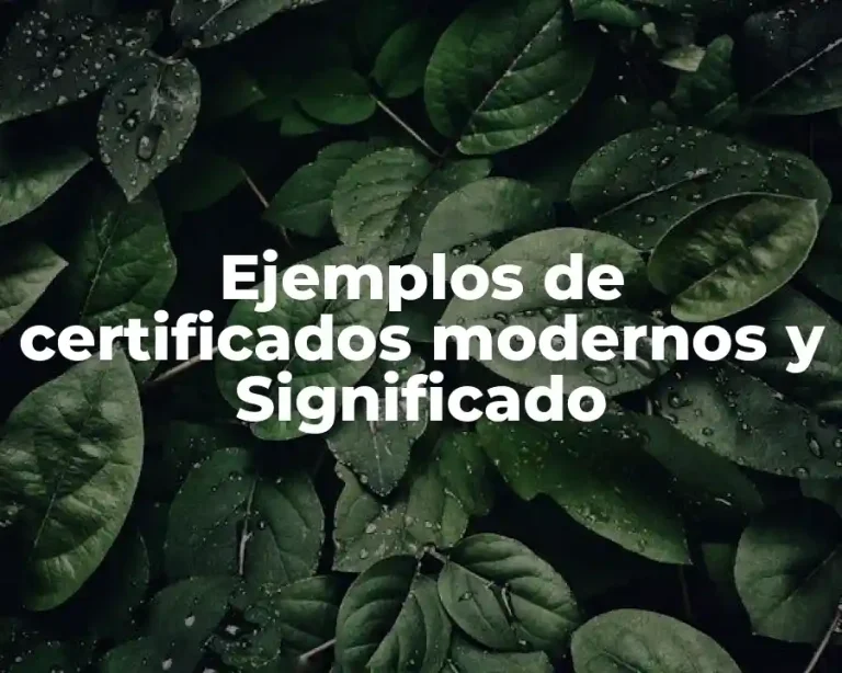Ejemplos de certificados modernos y Significado