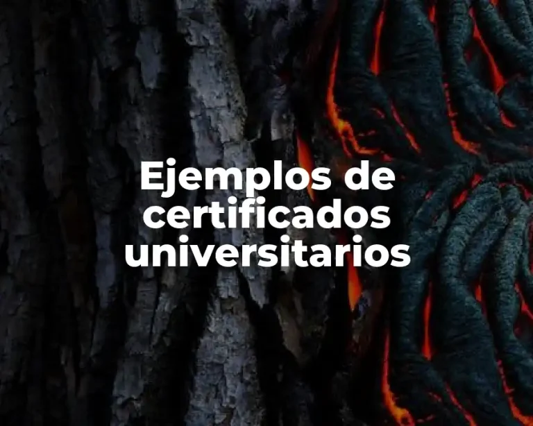 Ejemplos de certificados universitarios