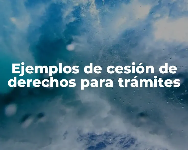 Ejemplos de cesión de derechos para trámites