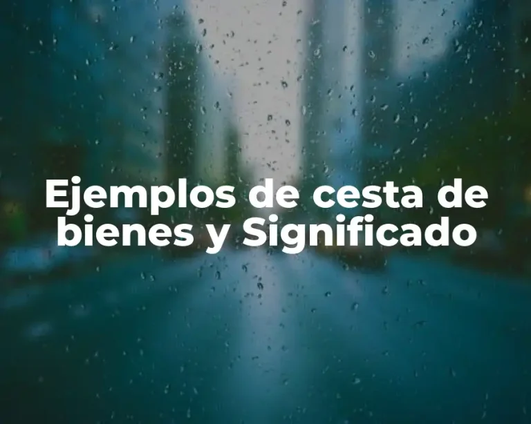 Ejemplos de cesta de bienes y Significado