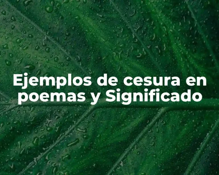 Ejemplos de cesura en poemas y Significado