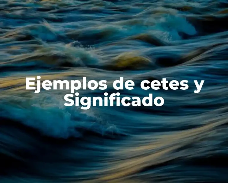 Ejemplos de cetes y Significado