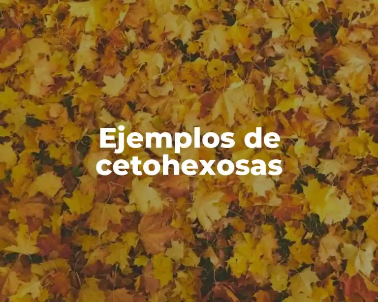 Ejemplos de cetohexosas