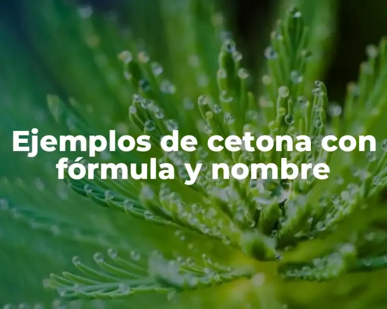 Ejemplos de cetona con fórmula y nombre