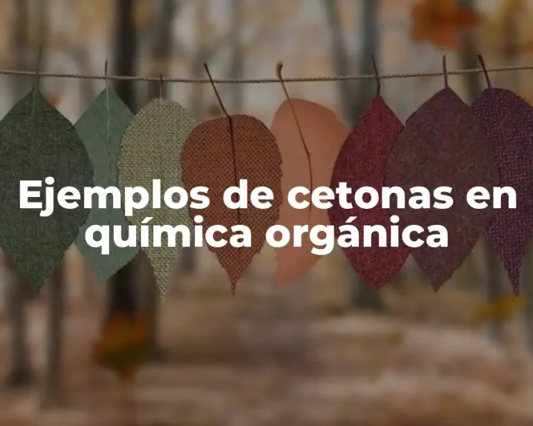 Ejemplos de cetonas en química orgánica