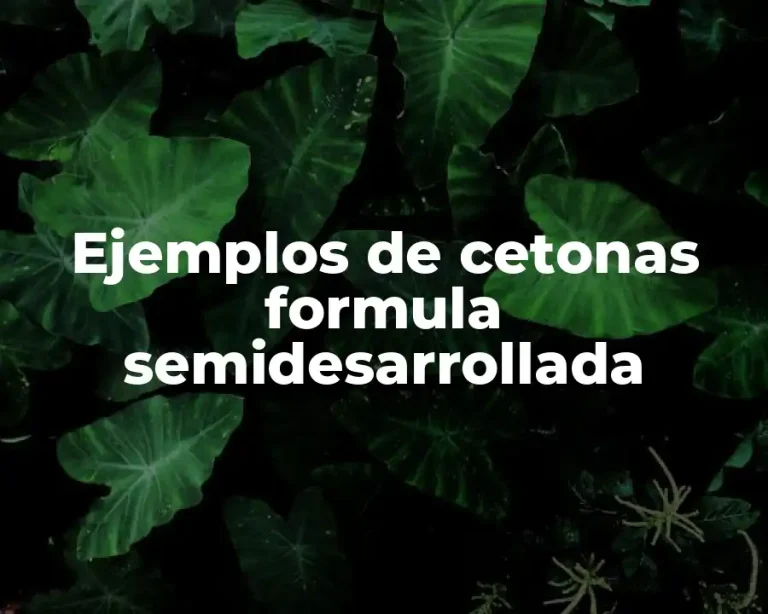 Ejemplos de cetonas formula semidesarrollada