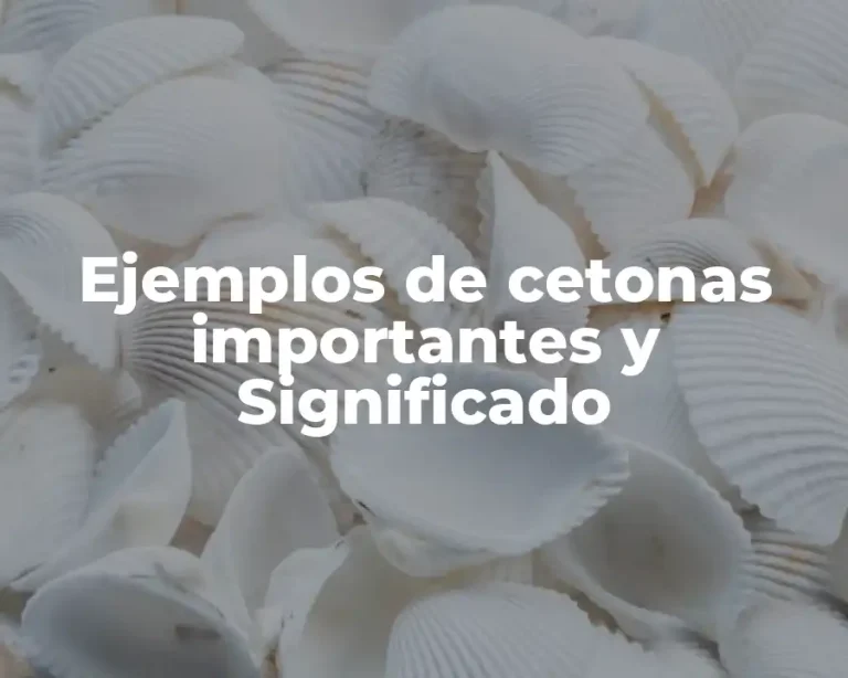 Ejemplos de cetonas importantes y Significado